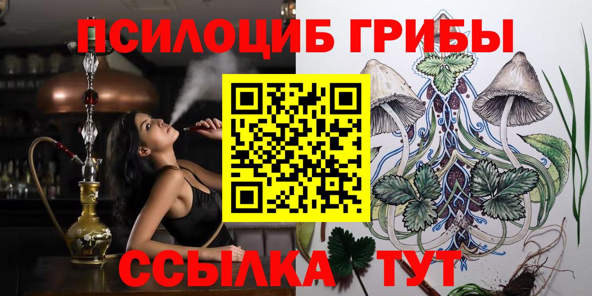 Североуральск  Псилоцибиновые грибы Cubensis  Вход с VPN  Галлюциногенные грибы Cubensis 
